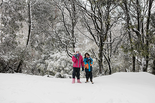 Mt Donna Buang: Melbourne's Closest Snow Experience